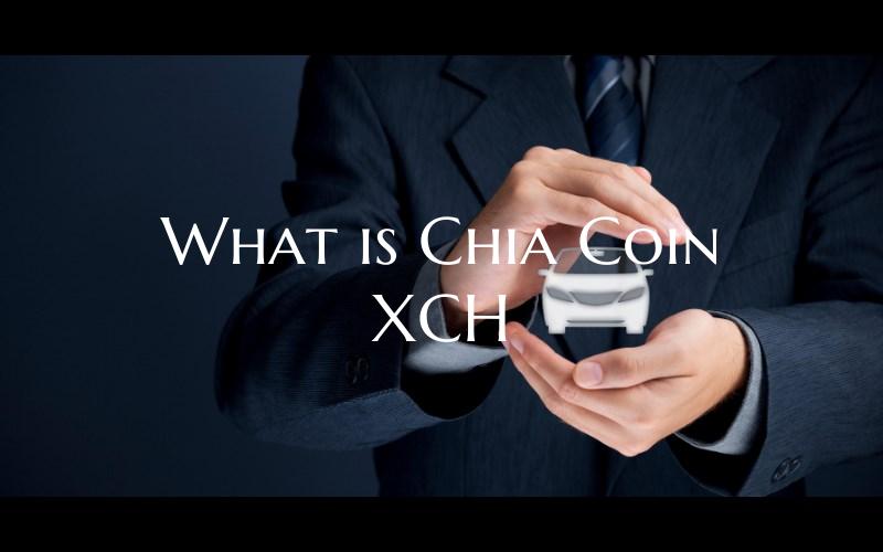 What is Chia Coin XCH